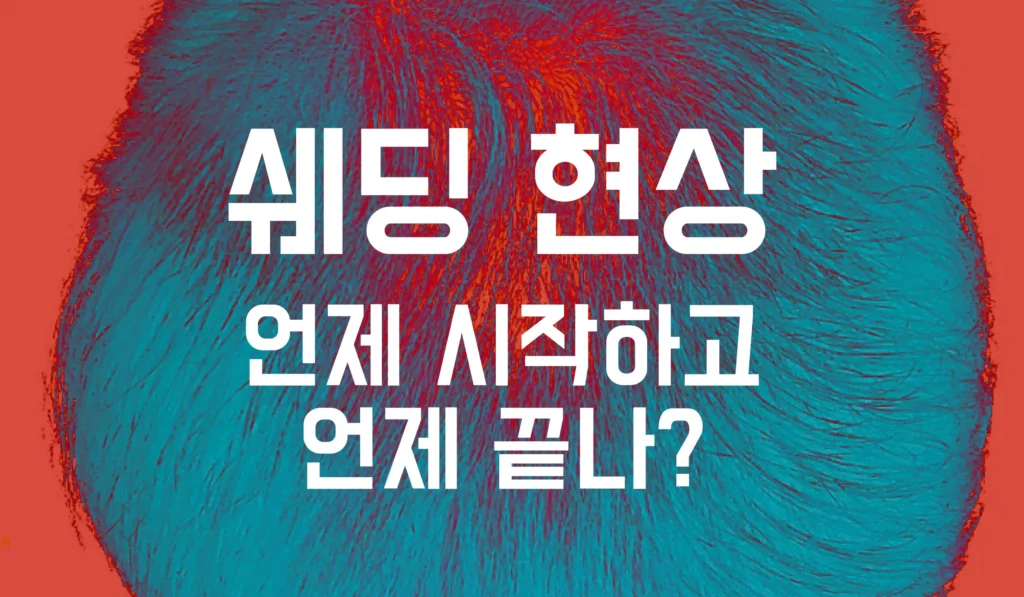쉐딩 현상 언제 시작하고 언제 끝나